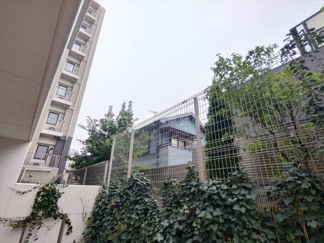 【展望】の画像