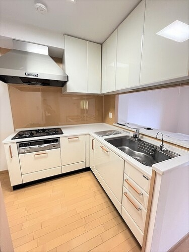 グラン・シティオ心斎橋ＥＡＳＴのキッチン|システムキッチン