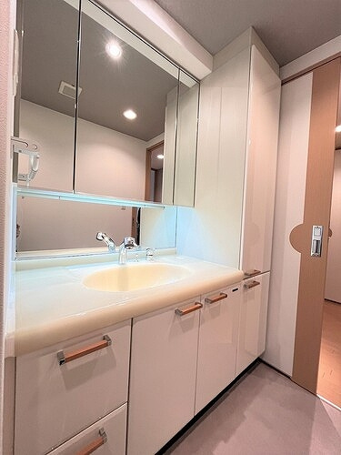 グラン・シティオ心斎橋ＥＡＳＴの洗面所|洗面化粧台