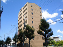 ForTheGod（フォーザゴッド）の画像