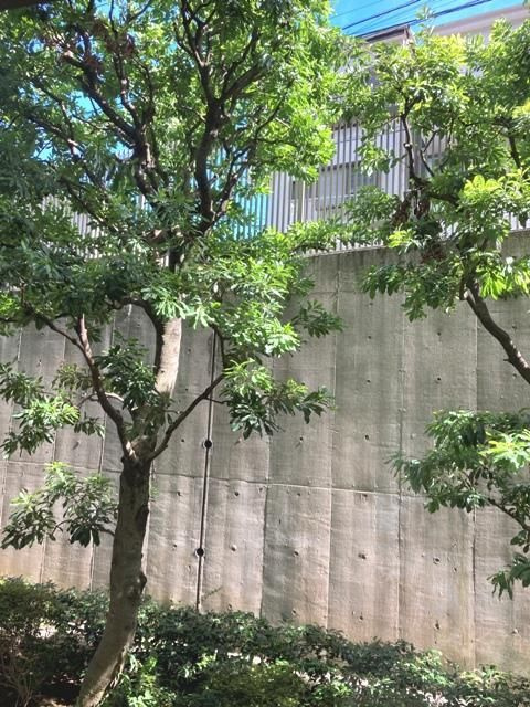 参宮橋マンションの展望