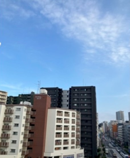 新丸子パーク・ホームズの展望