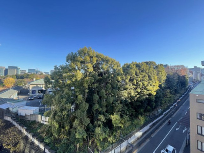 【展望】 | ニューライフ一番町