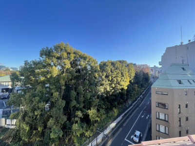 【展望】 | ニューライフ一番町