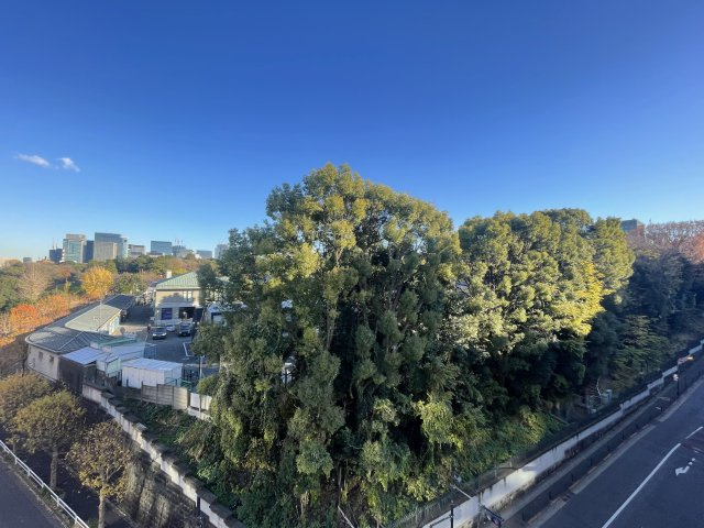 【展望】 | ニューライフ一番町