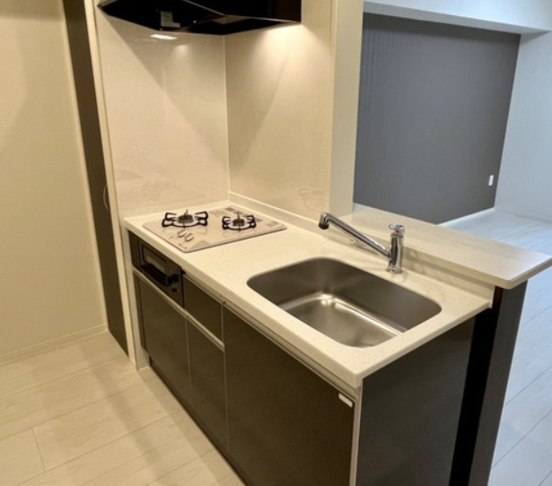 THE　BLOSSOM　新栄　名古屋市賃貸　仲介手数料無料のキッチン