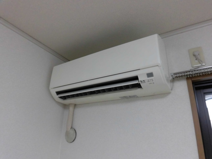 ヴェルドミールのその他