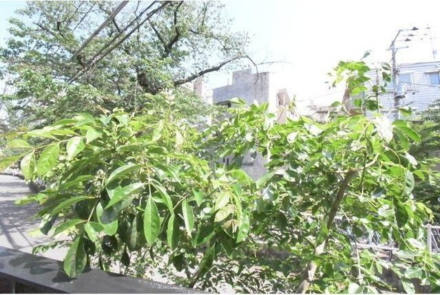 LEGALAND都立大学Ⅱの展望