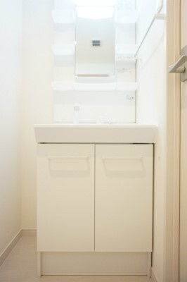 リブリ・プライム蘇我の洗面所