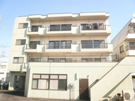 ヒゲナカビルの画像