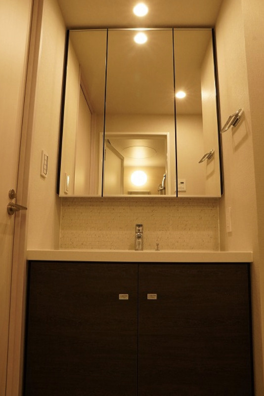 ザ・パークハビオＳＯＨＯ大手町の独立洗面台