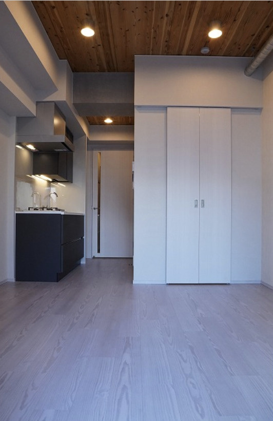 ザ・パークハビオＳＯＨＯ大手町の居間・リビング