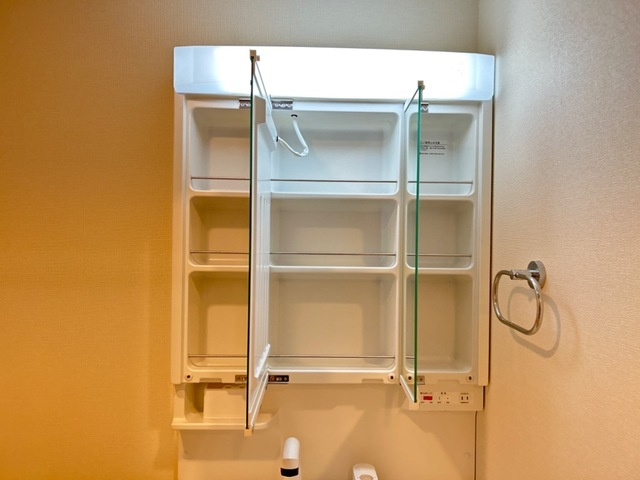 ブルヴァールの収納|洗面収納(イメージ)