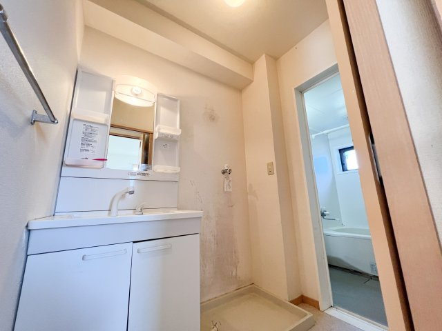 ウエスト孕の洗面所