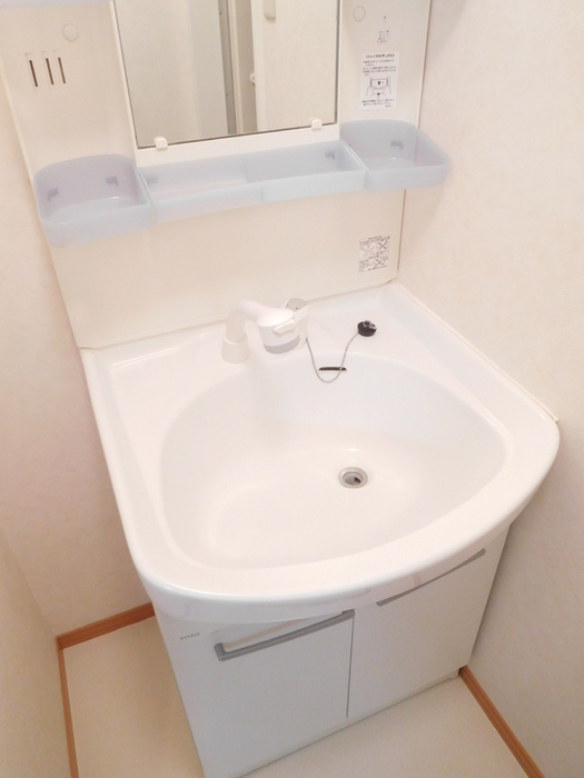 ウィルの洗面所