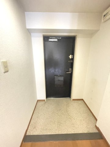 メルヴェーユコマドリ