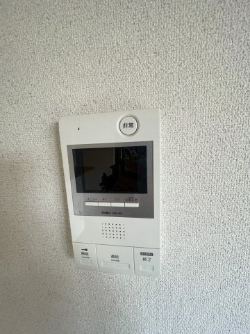 メルヴェーユコマドリ