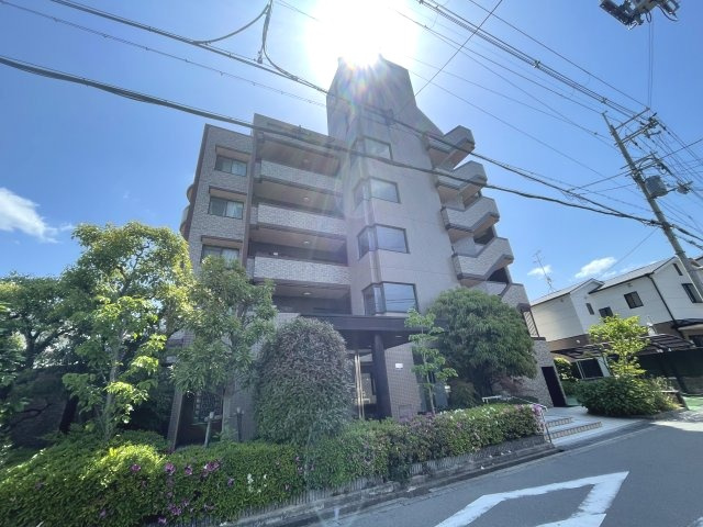 メルヴェーユコマドリ
