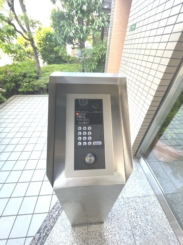 メルヴェーユコマドリ