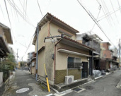 K22061-紫野の画像