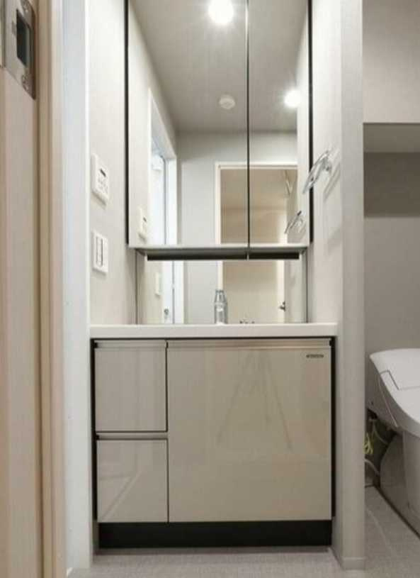 ルフォンプログレ渋谷ヒルトップ　ペット相談　ネット無料　高層階の洗面所