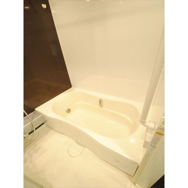レキシントンスクエア白金高輪の浴室|日々の疲れを癒すお風呂付です
