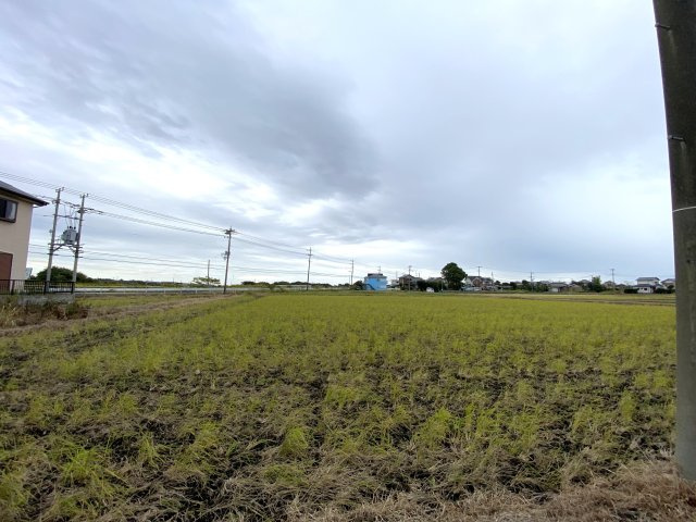 コスモ求名の展望