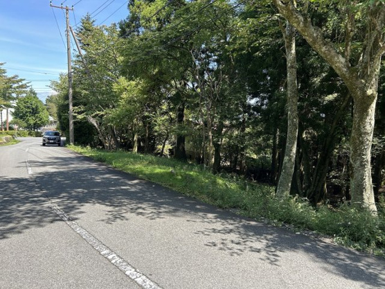 【前面道路含む現地写真】 | 東急天城高原別荘地　売地