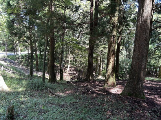 【外観】 | 東急天城高原別荘地　売地