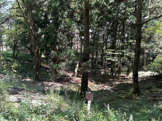 【外観】 | 東急天城高原別荘地　売地