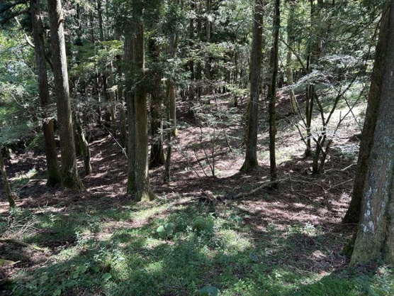 【外観】 | 東急天城高原別荘地　売地