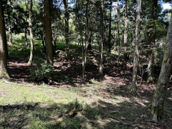 【外観】 | 東急天城高原別荘地　売地