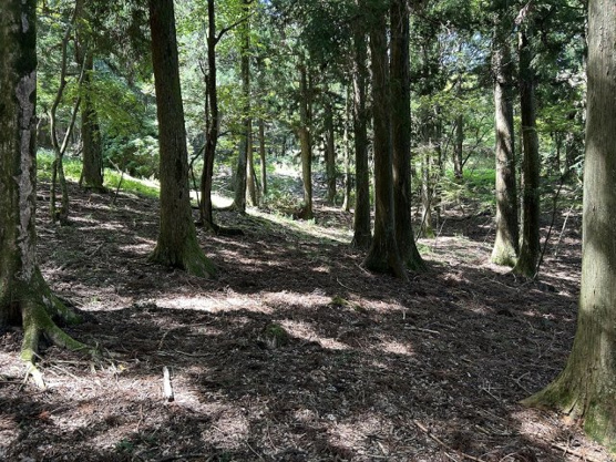 【外観】 | 東急天城高原別荘地　売地