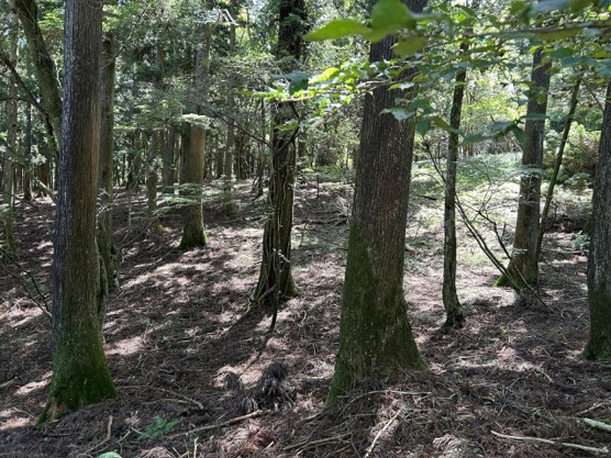 【外観】 | 東急天城高原別荘地　売地