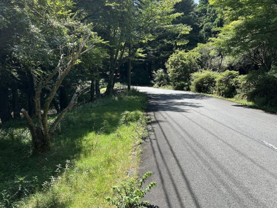 【前面道路含む現地写真】 | 東急天城高原別荘地　売地
