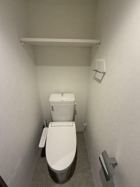 さいたま市浦和区常盤９丁目の賃貸マンションのトイレ