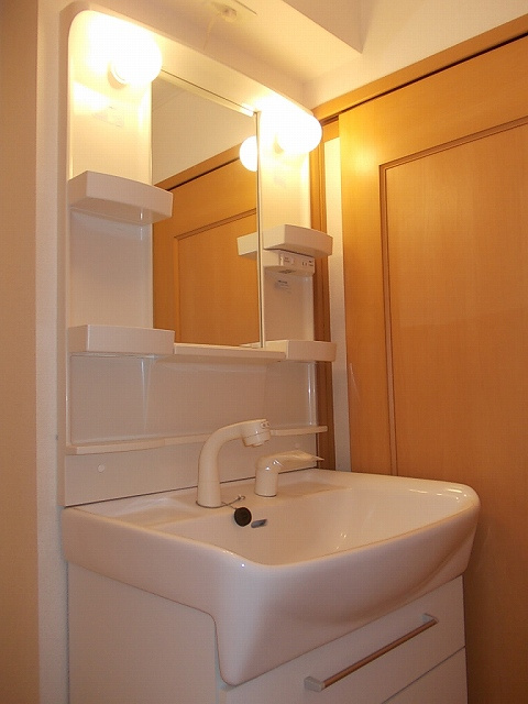 カレントヴィラＣの洗面所|洗面所