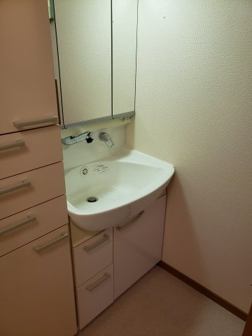 東急たなドエルリングA棟の洗面所