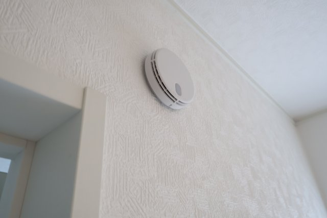 《仲介手数料無料》南区大字太田窪2917-5(2号棟)新築一戸建てクレイドルガーデンのその他|撮影日 2025年8月24日 14:00 晴れ