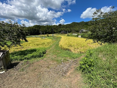 【その他】 | 柳井市伊陸