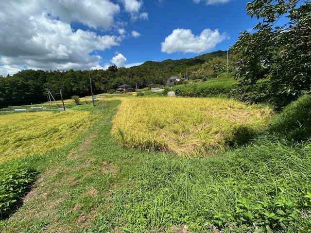 【その他】 | 柳井市伊陸