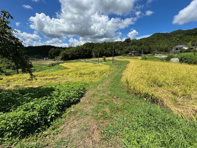 【その他】 | 柳井市伊陸