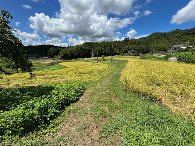 【その他】 | 柳井市伊陸