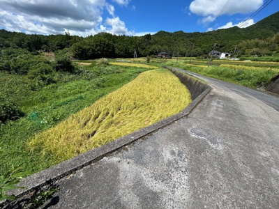 【その他】 | 柳井市伊陸