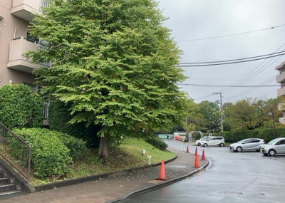 【庭】 |  パークサイド南大沢 | 物件によっては、入居者が個人的に使用できる専用庭がついているものもあります。また、住宅の中にある土間の部分を庭と呼ぶこともあります。庭の用途は住む人によって変わり、それによってデザインもさまざまです。