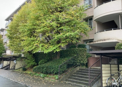 【中庭】 |  パークサイド南大沢 | 中庭（パティオ）とは、一つの建築物の内部に設けられた、壁などで囲われている庭のことを指します。コの字型、ロの字型が主流ですが、L字型の中庭もあります。最近では、インテリア性の高さからも人気があります。