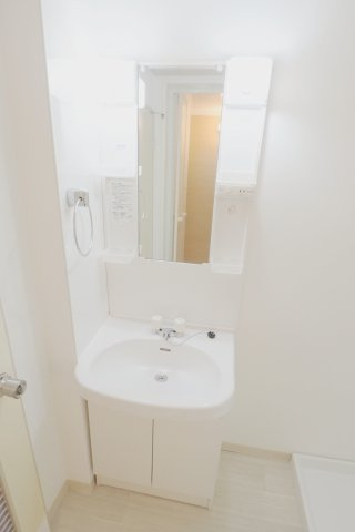 コーポ川本の洗面所