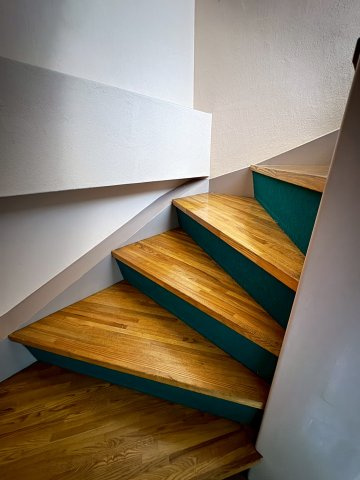 蓮都家（レントハウス）のその他|階段