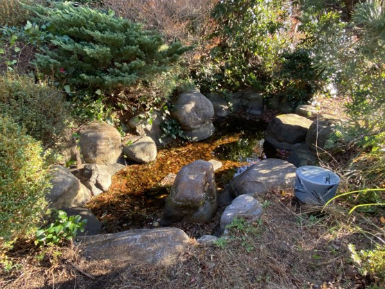 【庭】 | 伊豆急荻分譲地　戸建