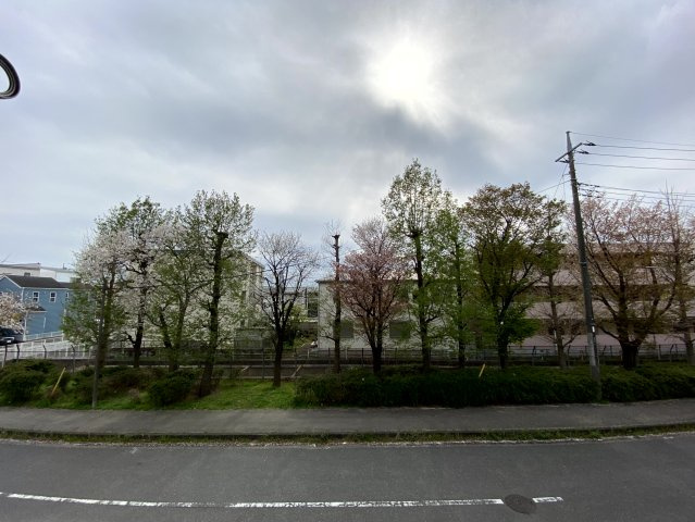 メゾンペールⅡの展望